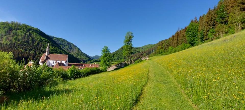 Ferienwohnung Bergspass Gaming 外观 照片