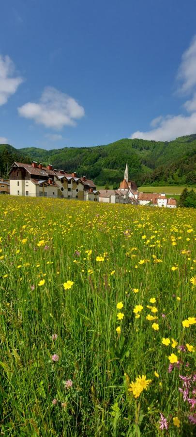 Ferienwohnung Bergspass Gaming 外观 照片
